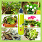 🔥2025 New Arrival🔥 Liquid Nutrient For Outdoor & Indoor Plants